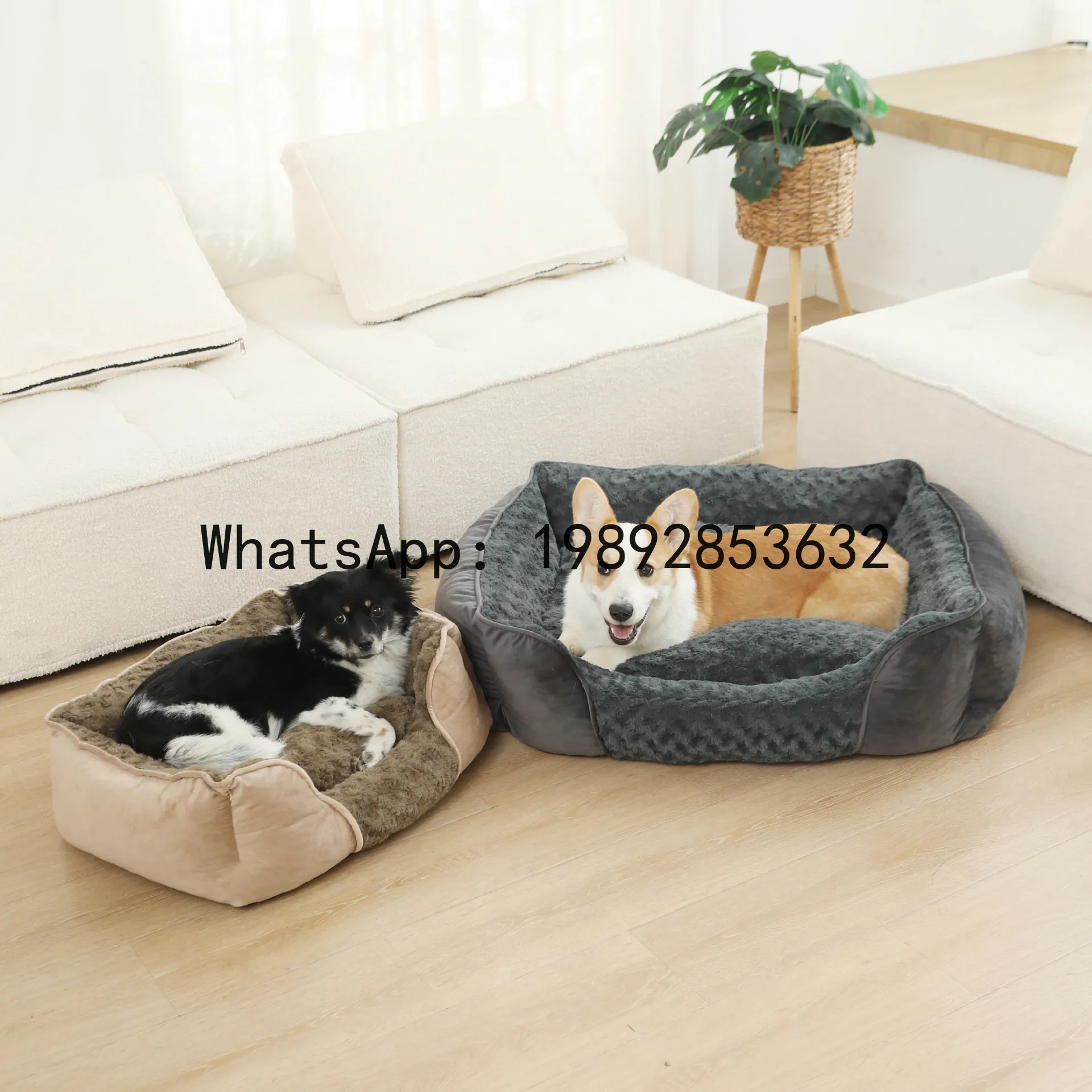 Pet X Supplies & Tack Photos - Домик для кошек X, полузакрытая будка