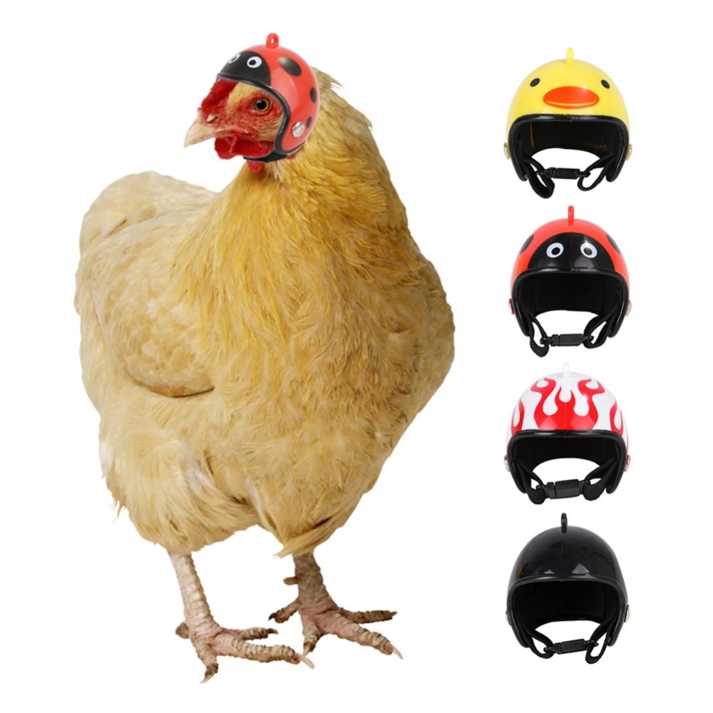 Pet X Supplies & Tack Photos - Забавная защитная шапка для домашних животных