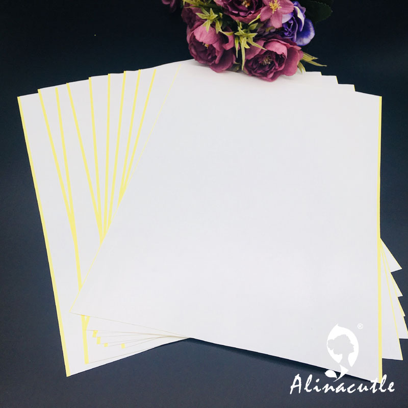 10 шт. X A4 двусторонняя лента – обзор и цена Pet X Supplies & Tack Photos