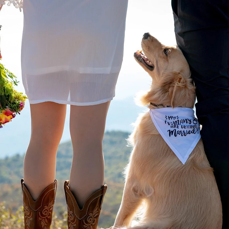 Мой человек женится, собака, б – обзор и цена Dog Bandana Scarf