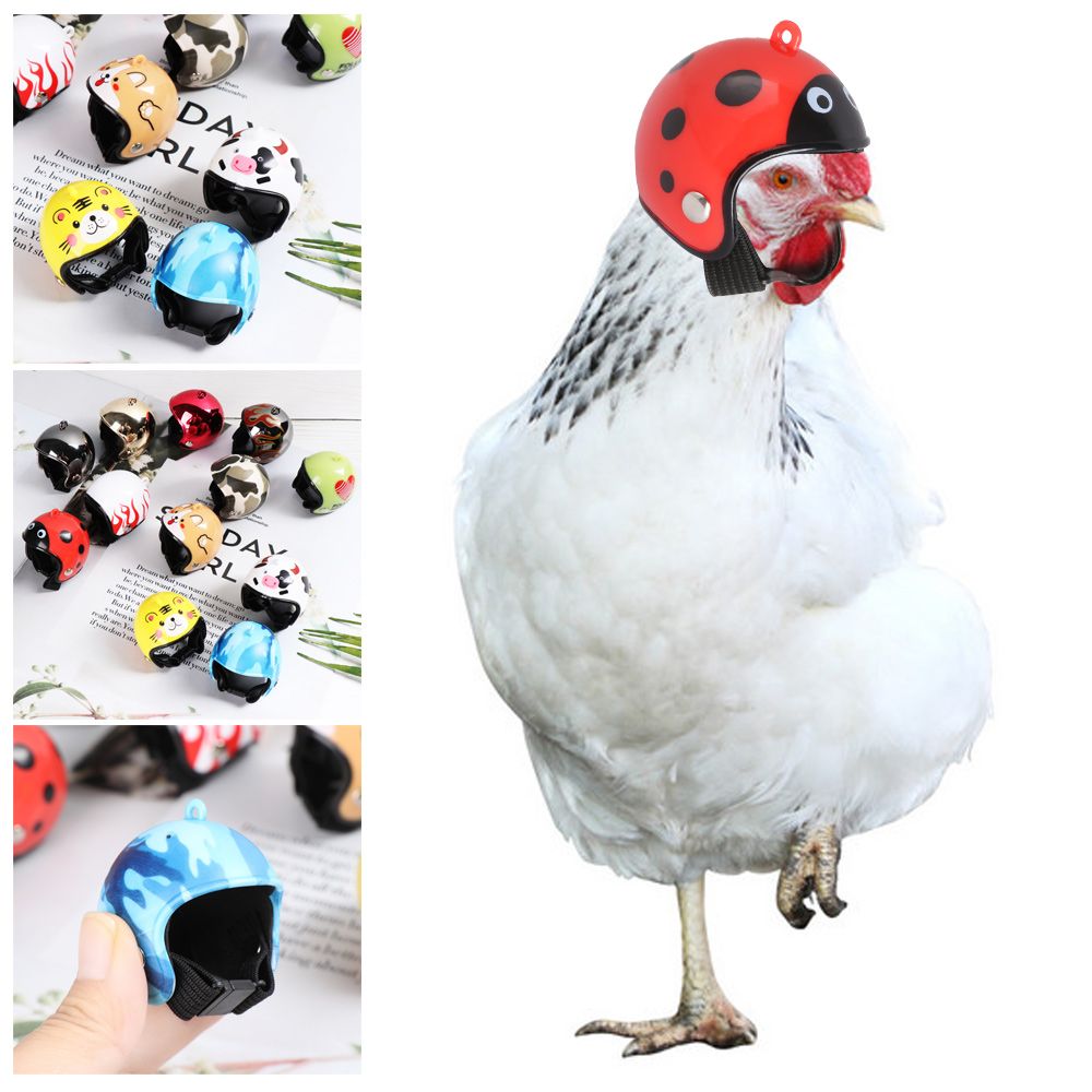 Забавные защитные головные убо – обзор и цена Pet X Supplies & Tack Photos
